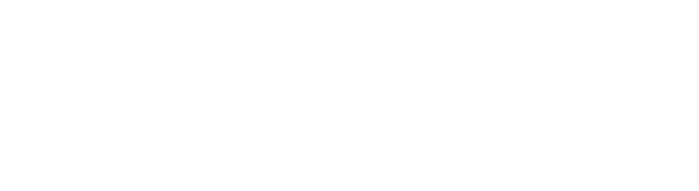 LANA AI